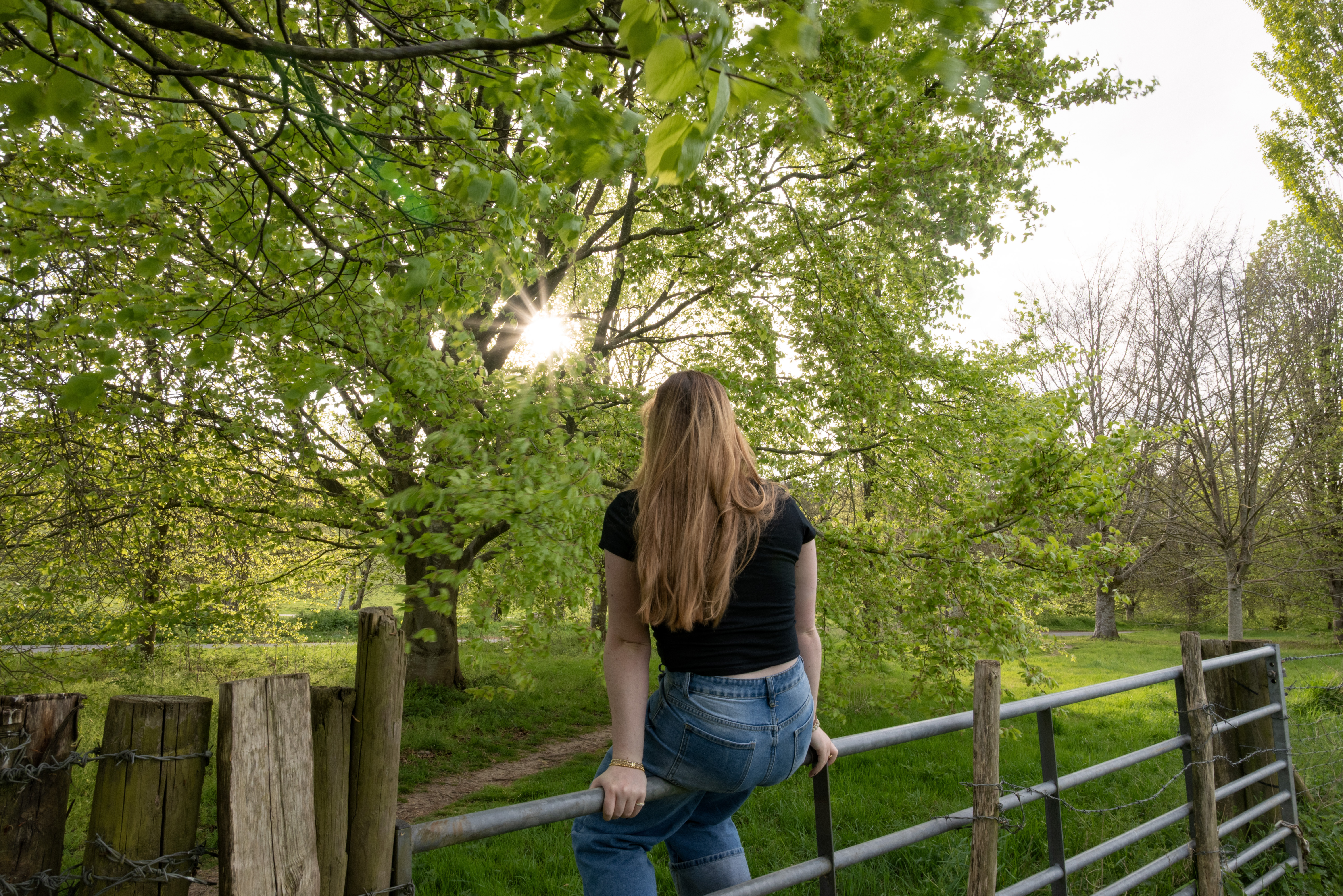a girl sitting on a fence looking out into the trees and field